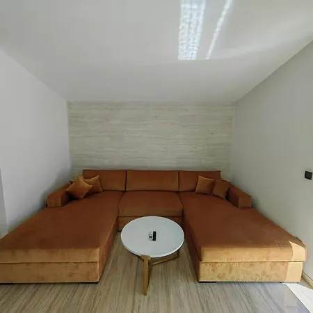 Zvoncica Deluxe 보디체